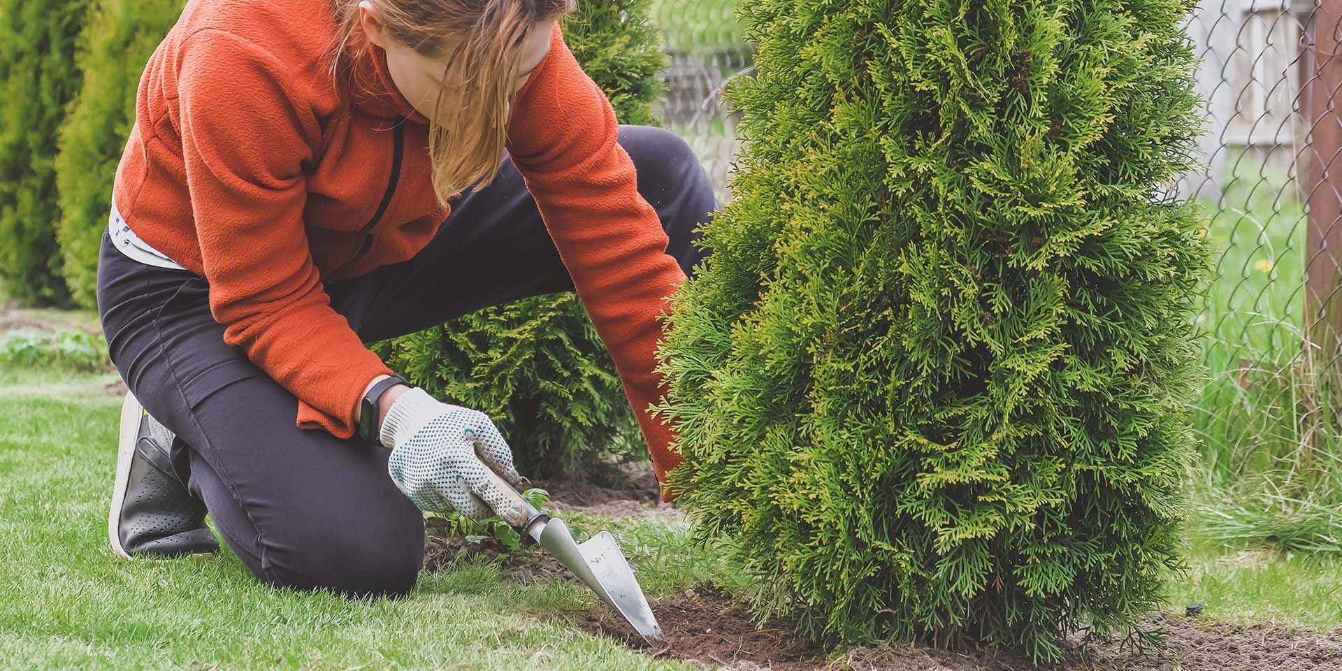 Well-Kept Lawn and Landscaping Maintenance Services