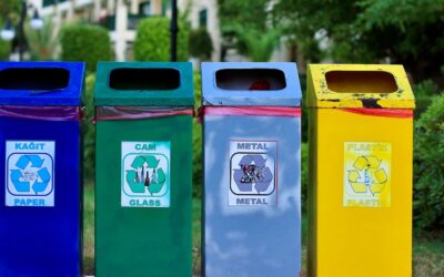 Garbage Disposal Inspection: Ensuring a Hygienic Kitchen Environment