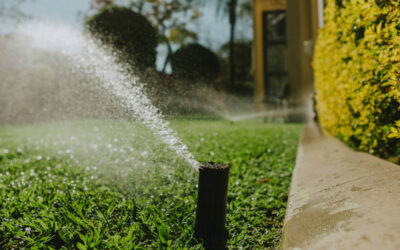 Unlocking Home Safety: Why Sprinkler System Inspections Matter