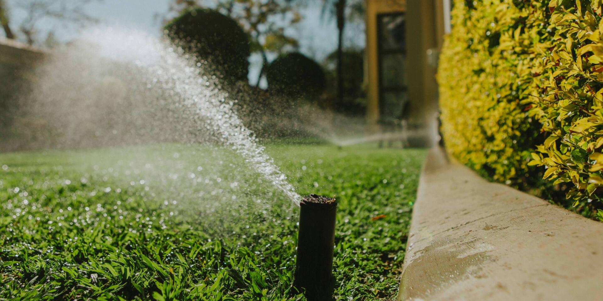 Homeowner subscribing to sprinkler system maintenance